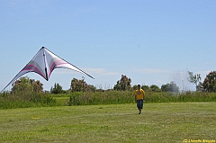 Venice kite festival_0081